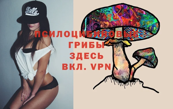Альфа ПВП Арсеньев