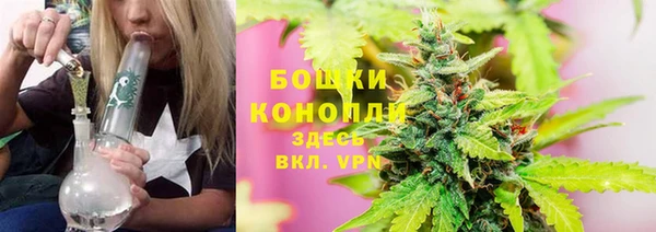 молекула духа Аркадак